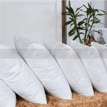 Filled Cushions